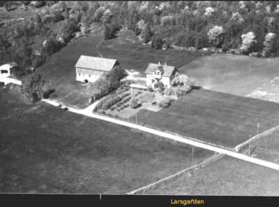 Bilder frå 1954 - Gardsnummer 1 - 14 12