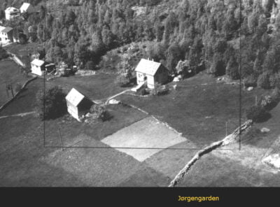 Bilder frå 1954 - Gardsnummer 1 - 14 17