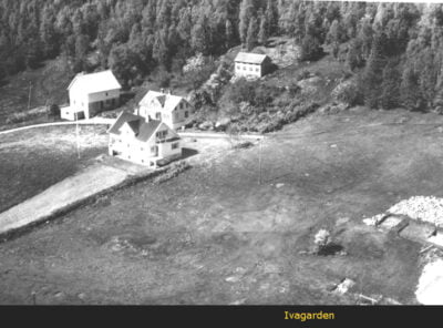 Bilder frå 1954 - Gardsnummer 1 - 14 3