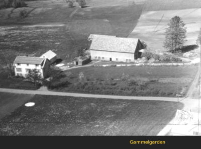 Bilder frå 1954 - Gardsnummer 1 - 14 8