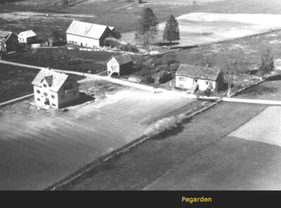 Bilder frå 1954 - Gardsnummer 1 - 14 9