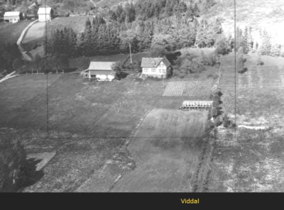 Bilder frå 1954 - Gardsnummer 1 - 14 16