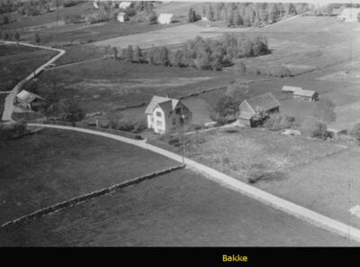 Bilder frå 1954 - Gardsnummer 1 - 14 19