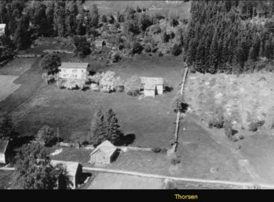 Bilder frå 1954 - Gardsnummer 1 - 14 20