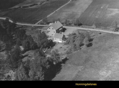 Bilder frå 1954 - Gardsnummer 1 - 14 2