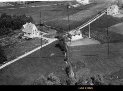 Bilder frå 1954 - Gardsnummer 1 - 14 3