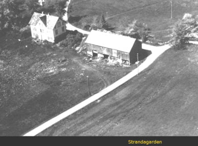 Bilder frå 1954 - Gardsnummer 1 - 14 9