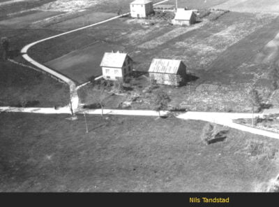 Bilder frå 1954 - Gardsnummer 1 - 14 16