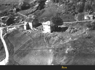 Bilder frå 1954 - Gardsnummer 1 - 14 1