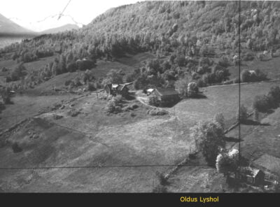 Bilder frå 1954 - Gardsnummer 1 - 14 3