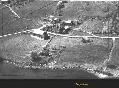 Bilder frå 1954 - Gardsnummer 1 - 14 7