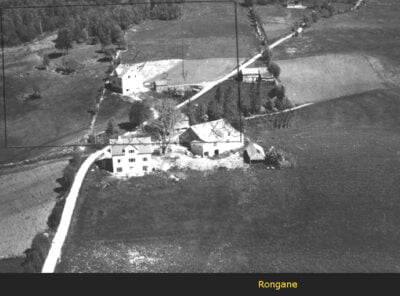 Bilder frå 1954 - Gardsnummer 1 - 14 11