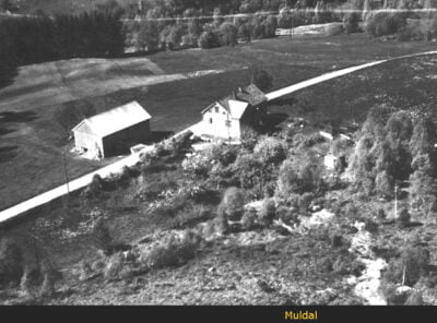 Bilder frå 1954 - Gardsnummer 1 - 14 2