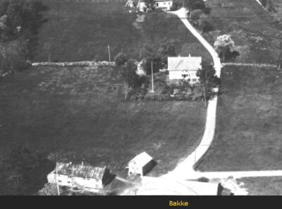 Bilder frå 1954 - Gardsnummer 1 - 14 9