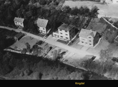 Bilder frå 1954 - Gardsnummer 1 - 14 17