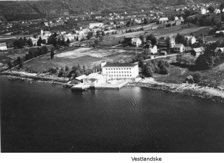 Bilder frå 1954 – Gardsnummer 15 – 20