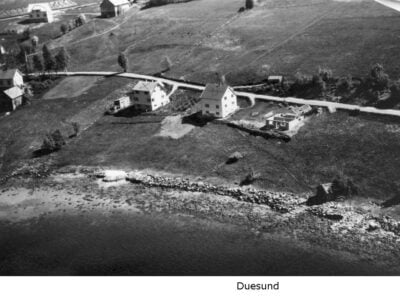 Bilder frå 1954 - Gardsnummer 15 - 20 4