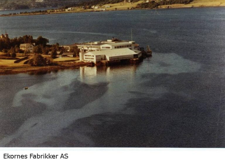 Fargebilder frå 1950-talet