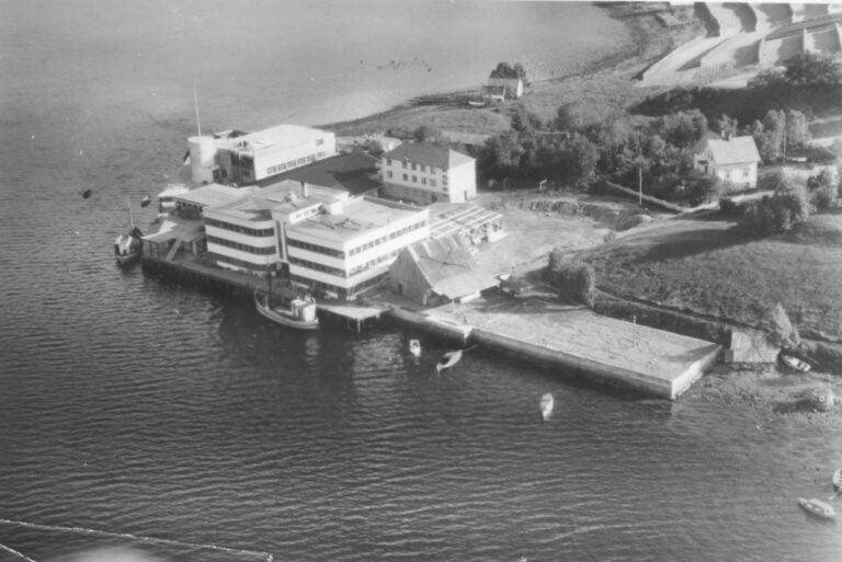 Bilder frå 1954 – Gardsnummer 35 – 43