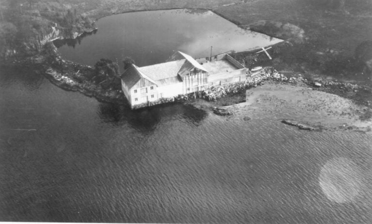 Bilder frå 1954 – Gardsnummer 44 – 57