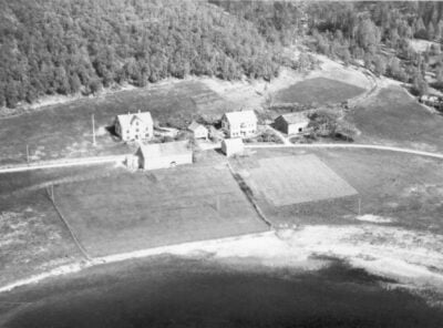 Bilder frå 1954 – Gardsnummer 44 – 57 19