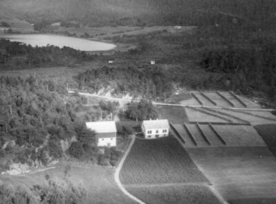 Bilder frå 1954 – Gardsnummer 44 – 57 7