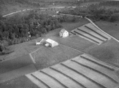 Bilder frå 1954 – Gardsnummer 44 – 57 17