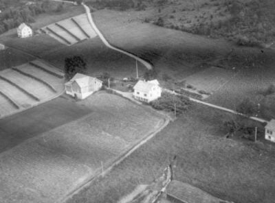 Bilder frå 1954 – Gardsnummer 44 – 57 19
